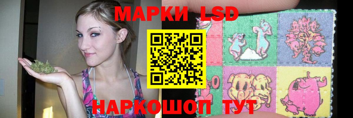 Сунжа  LSD-25 экстази ecstasy  LSD-25 экстази кислота  Лсд 25 экстази  Вход с VPN 